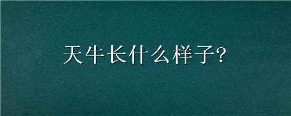 天牛长什么样子?（天牛长什么样子视频）