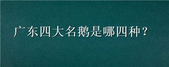 广东四大名鹅是哪四种 广东四大名鹅是哪四种鸟