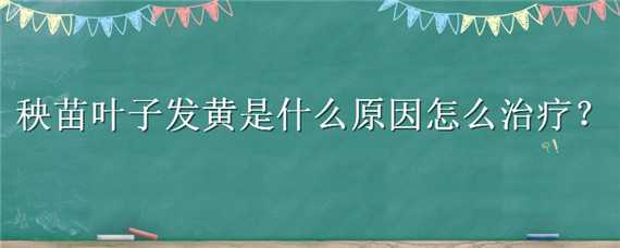 秧苗叶子发黄是什么原因怎么治疗（秧苗叶子发黄是什么原因怎么治疗方法）