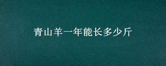 青山羊一年能长多少斤（青山羊一年能长多少斤重）