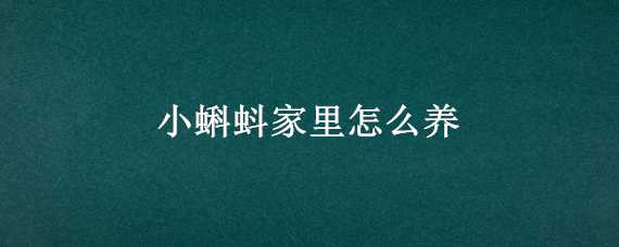 小蝌蚪家里怎么养（小蝌蚪在家里怎么养）