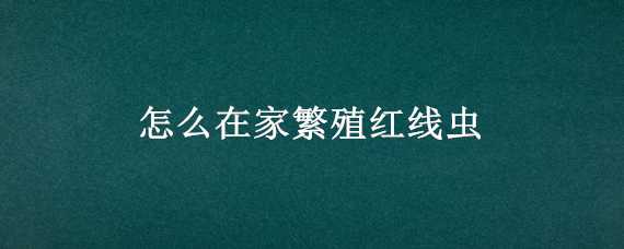 怎么在家繁殖红线虫（怎么在家繁殖红线虫视频）