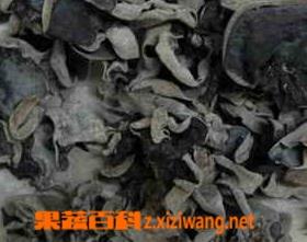 木耳的营养价值和功效作用（木耳的营养价值和功效作用与禁忌）