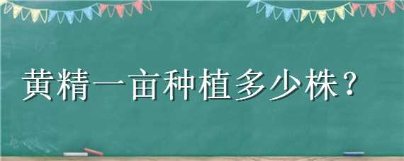 黄精一亩种植多少株 黄精一亩栽多少株