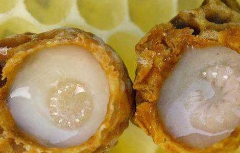 欧洲幼虫腐臭病