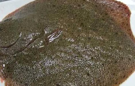 2018年多宝鱼多少钱一斤及市场前景 多宝鱼市场价格多少钱一斤