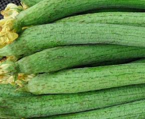 丝瓜的功效(丝瓜的功效与作用和副作用)