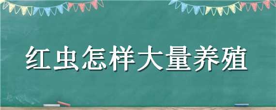 红虫怎样大量养殖 红虫的养殖技术