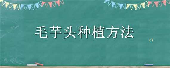 毛芋头种植方法 毛芋头种植方法和条件