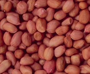 花生米的营养价值 黑色花生米的营养价值