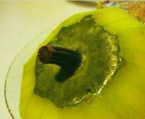 酿冬瓜做法步骤（酿冬瓜的做法）