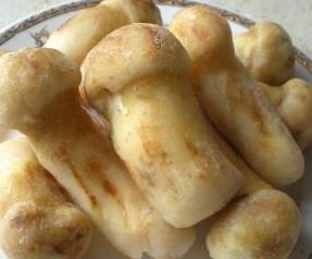 松茸菌的吃法大全 松茸菌的吃法大全图片