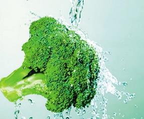 西兰花营养价值和制作方法 西兰花怎么做最营养