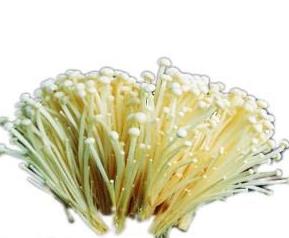 金针菇食用方法（金针菇的食用方法）