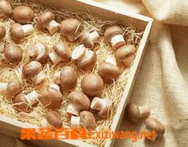 孕妇可以吃草菇吗（孕妇可以吃草菇吗）