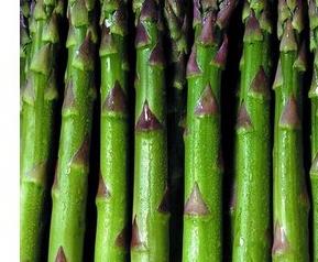 茭儿菜的家常做法和功效 茭儿菜的家常做法和功效图片