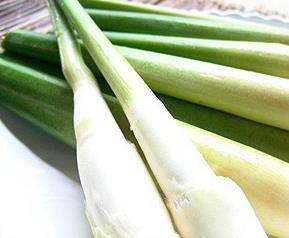 茭白的营养价值与吃法 茭白的营养价值?