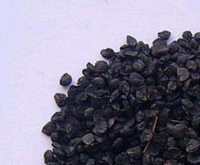 中药韭菜籽的吃法（中药韭菜籽的吃法大全）