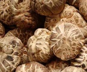 香菇营养价值,吃香菇的好处 吃香菇有什么营养价值