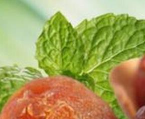 女人补肾的食物有哪些（女人补肾的食物有哪些食谱）