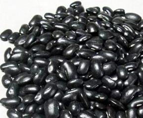 芸豆怎么栽培 芸豆怎么栽培成活率高