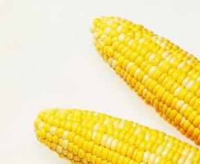 吃玉米的好处有哪些 请问吃玉米有什么好处