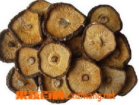 香菇有哪些营养价值 香菇有哪些营养价值和作用