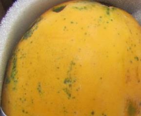 饭后吃木瓜好吗(饭后吃木瓜好吗对胃好吗)