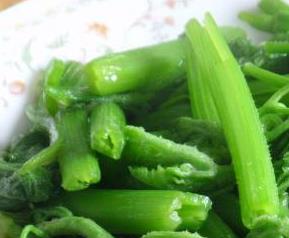 南瓜藤的营养价值(南瓜藤的营养价值有哪些)