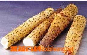 长山药的功效与作用(长山药的功效是什么)