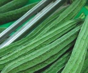 丝瓜的功效与作用（丝瓜的功效与作用及营养价值）