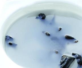 黑木耳的病虫害及其防治方法（黑木耳的病虫害及其防治方法图片）