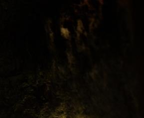 香菇常见虫害及其防治方法