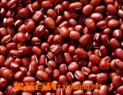 红豆的营养价值（土耳其红豆的营养价值）