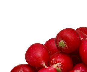 如何挑选红萝卜（如何挑选红萝卜好吃）