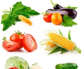 蔬菜草药助抗肺癌（蔬菜草药助抗肺癌有哪些）