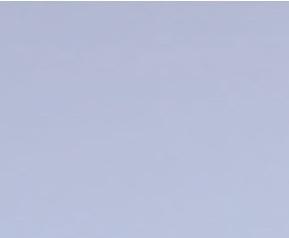 选择除草剂的方法,除草剂使用技巧 除草剂有哪些处理方法