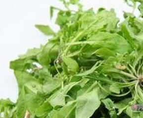 野菜有哪些(古代的野菜有哪些)