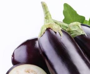 茄子果实疫病症状和防治方法（茄子果实疫病症状和防治方法图片）