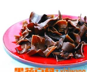 黑木耳栽培技术（黑木耳栽培技术要点）