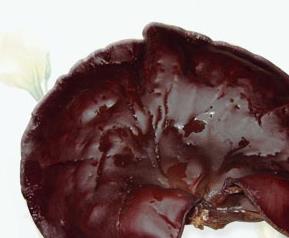 黑木耳的吃法 黑木耳的吃法炒干冲泡吃