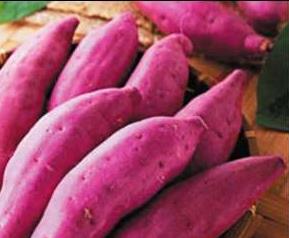 红薯不能与哪些食物一起吃（红薯不可以和什么食物一起吃吗）