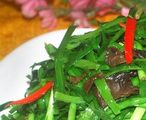 体寒的人吃哪些食物好（体寒的人吃什么食物比较好）