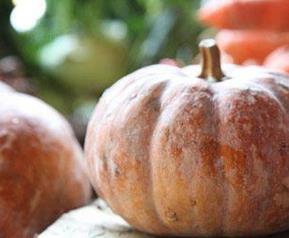 南瓜的功效与作用 南瓜的食用禁忌
