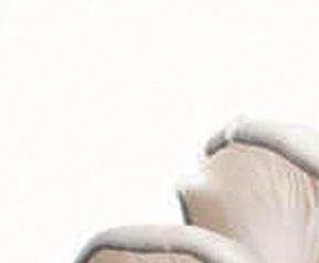 平菇的食疗功效（平菇的食疗功效和作用）