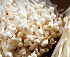 金针菇营养价值 金针菇营养价值高吗