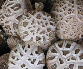 日常生活酱黄瓜的腌制方法 腌酱黄瓜的制作方法