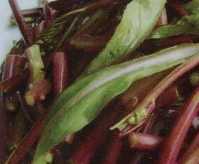 红菜的功效与作用