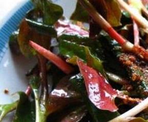 山野菜的做法步骤图解 山野菜的吃法大全