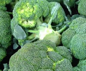 西兰花变黄了还能吃吗 西兰花变黄了还能吃吗百度百科